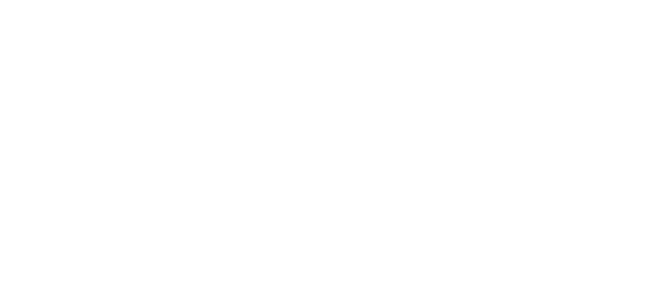ft960