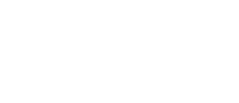 washington960