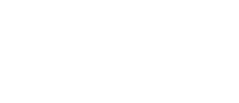 wsj960